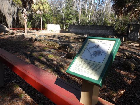 Phyllis & Chuck: February 8th - Wormsloe Plantation