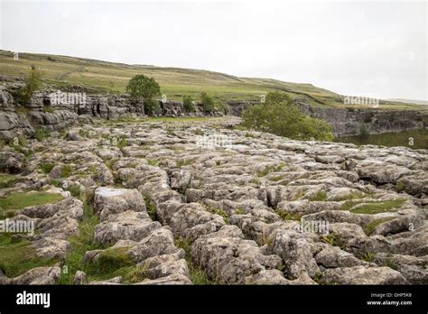 Limestone Pavement, Malham Cove Stock Photo - Alamy