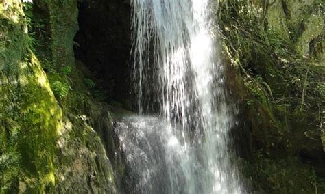 Soko Banja, Serbia 2023: Best Places to Visit - Tripadvisor