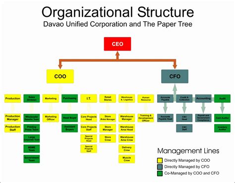 Structure Of Organizational Chart - Image to u