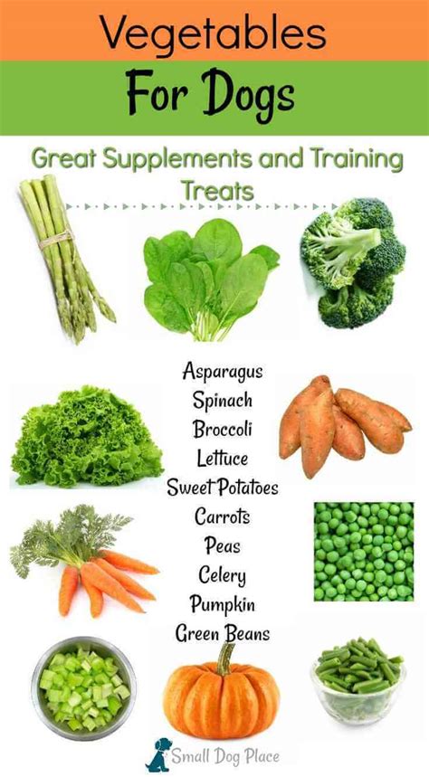 Printable List Of Fruits And Vegetables Dogs Can Eat