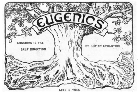 Inside The American Eugenics Program That Inspired The Third Reich