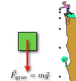 Learn Everything About Acceleration Due To Gravity With An Online Physics Tutor | Tutor Pace