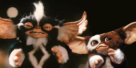 10 Best Joe Dante Movies, According to IMDb