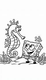 18 Seahorse Coloring Pages  Free PDF Printables KDCcoloring sketch template