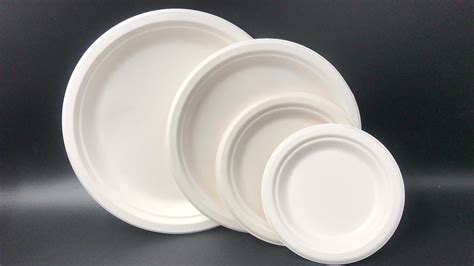 Bulk Disposable White Tableware Sugarcane Take Away Paper Plate Pure ...