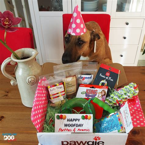 Pawgie Birthday Gift Box for Dogs | Australian Dog Lover