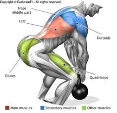 LATS - DEADLIFT ONE KETTLEBELL | Exercise, Fitness body, Kettlebell