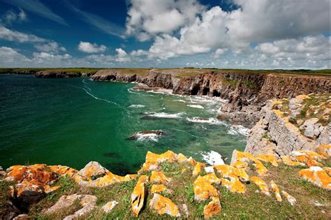 Natural Resources Wales / Stackpole National Nature Reserve, near Pembroke