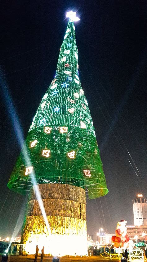 The tallest Christmas tree in the world from Sri Lanka | Tall christmas tree, Tall christmas ...