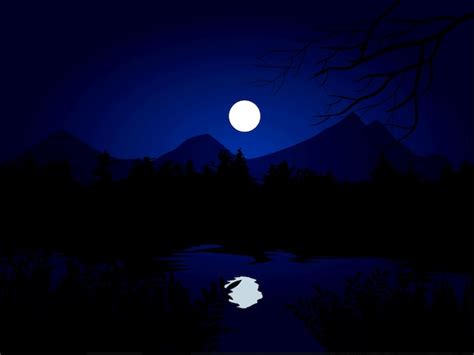 Premium Vector | Calm night at forest with full moon