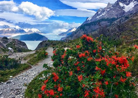 W Trek, Torres del Paine National Park, Chile 🇨🇱 : hiking