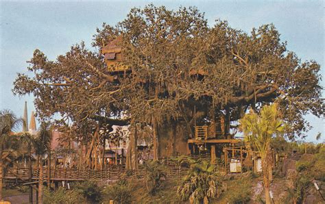 Swiss Family Treehouse | Tree house, Swiss family robinson treehouse, Retro disney