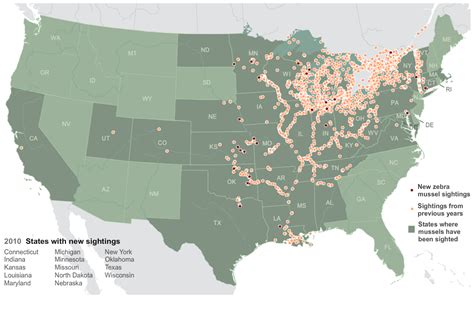 How Zebra Mussels Could Raise Your Water Bill | StateImpact Texas