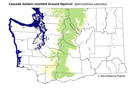 Distribution Map - Cascade Golden-mantled Ground Squirrel (Spermophilus ...