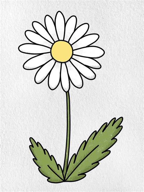 Easy to Draw Flowers - HelloArtsy