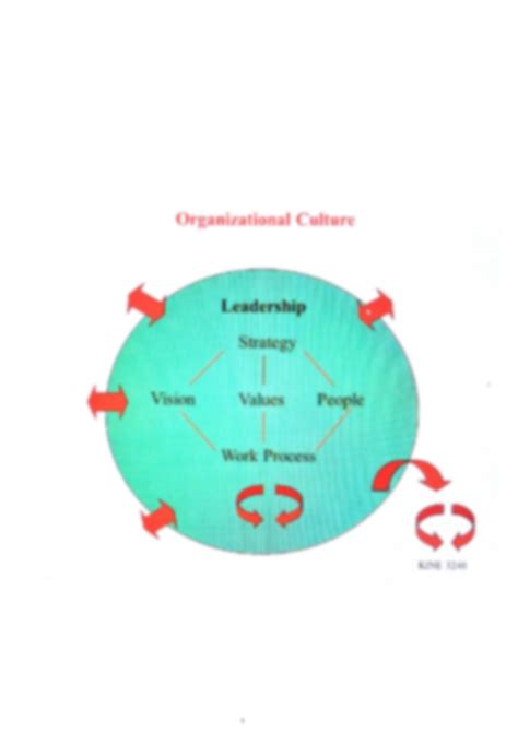 SOLUTION: Organizational Culture Based Flow Chart - Studypool