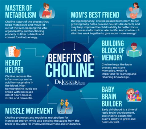 Choline: Signs of Deficiency, Benefits, and Food Sources