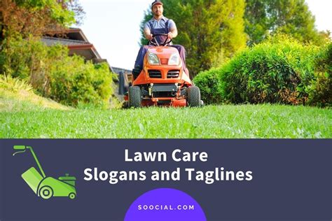499 Lawn Care Slogans To Trim Your Competition Down - Soocial