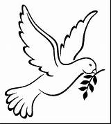 Dove Coloring Peace Pages Printable Doves Kids Colomba Da Colorare  sketch template