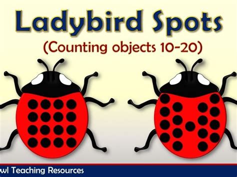 Ladybird Spots Counting 10 - 20 | Teaching Resources