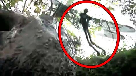 5 Mysterious Creatures Caught on Camera | FunnyCat.TV