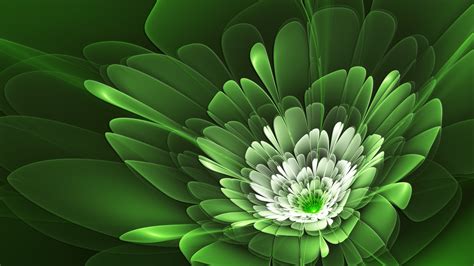 45 HD Green Wallpapers/Backgrounds For Free Download