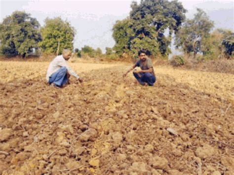 Umaria Weather : बिन बारिश कैसे बोए धान, थरहा की तैयारी कर चुके किसान - Umaria Weather : Farmers ...