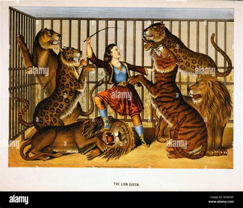 Lion tamer woman hi-res stock photography and images - Alamy