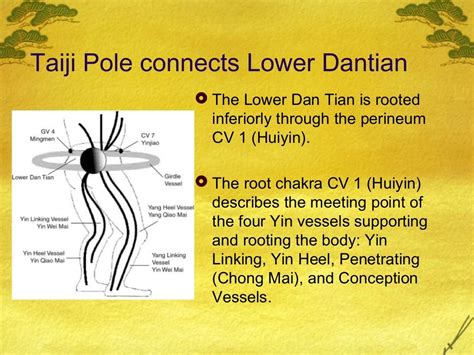 Taiji Pole connects Lower Dantian The Lower Dan Tian is ...