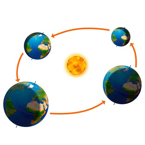 What Causes The Four Seasons | DK Find Out