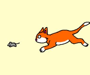 Cat chases mouse - Drawception