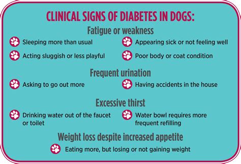 Common Canine Diseases