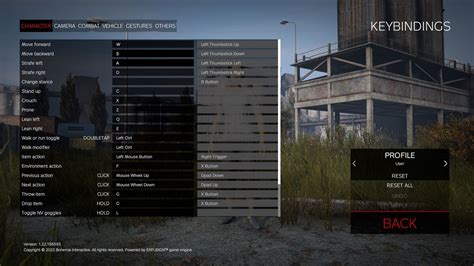 Game Controls - DayZ Wiki