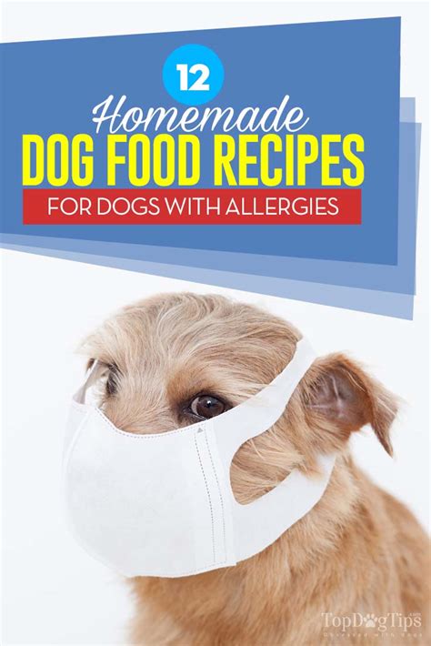 12 Homemade Dog Food for Allergies Recipes