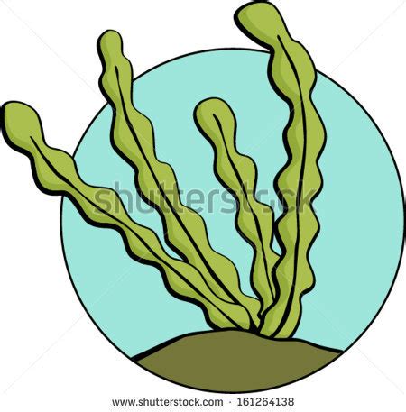 Zooplankton Clipart | Free download on ClipArtMag