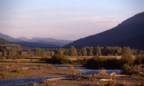 Yellowstone National Park: Tower-Roosevelt - AllTrips