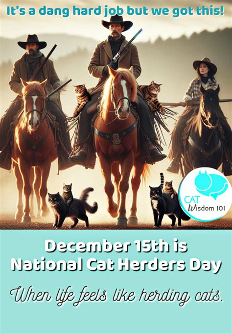 How To Celebrate National Cat Herders Day | Cat Wisdom 101