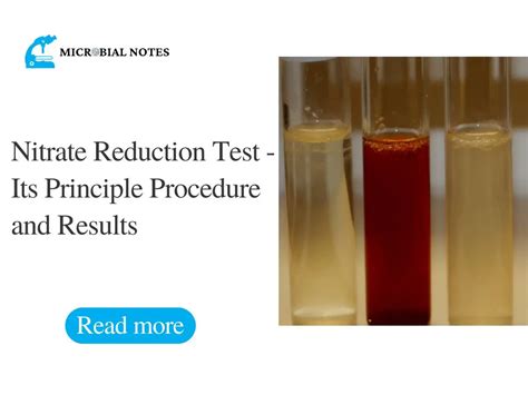 Nitrate Reduction Test - Its Principle Procedure and Results