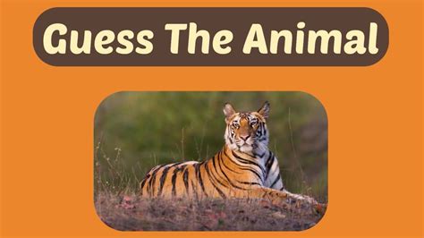 Animal Guessing Game for Kids | Guess Animal Quiz 🦓🐵🦁 - YouTube