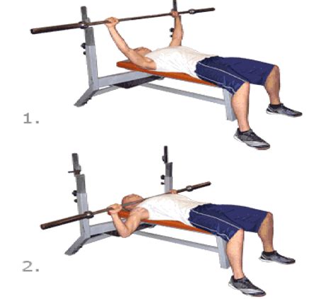 Step Exercises and Fitness: Chest Exercises : step 5 : Barbell Bench Press