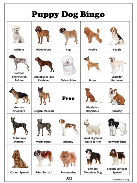 30 Puppy Dog Bingo Cards Dog Birthday Party Game Dog Breeds Dog Lover ...