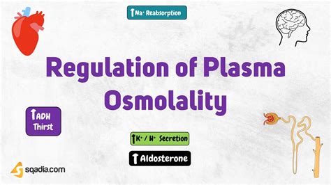 Regulation of Plasma Osmolality