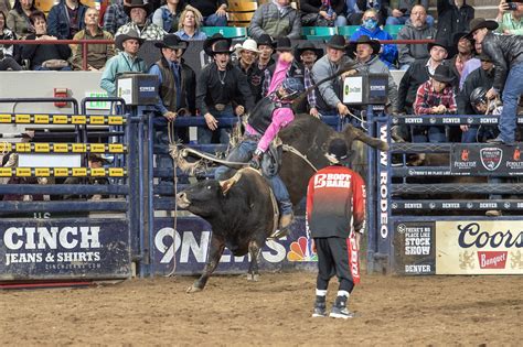 Champions Rise to Top at National Western Stock Show PBR Bull Riding - News