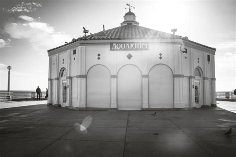 Manhattan Beach Pier Aquarium | m01229 | Flickr