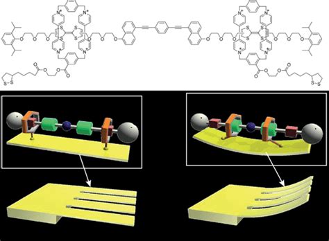 Evolution of molecular machines: from solution to soft matter interface - Soft Matter (RSC ...