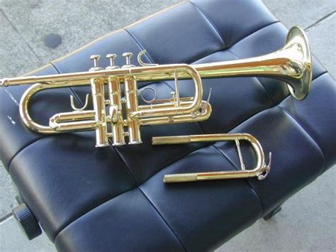 Berkeley NEW Bb & C Trumpet (Silver &Gold )