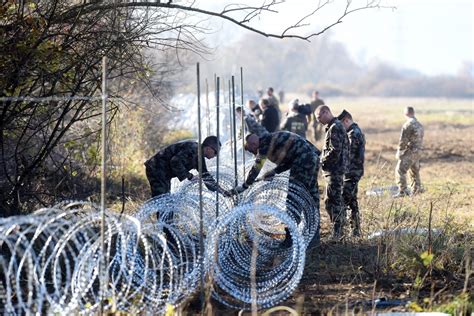 EU border fences pose 'major threat' to wildlife | IBTimes UK