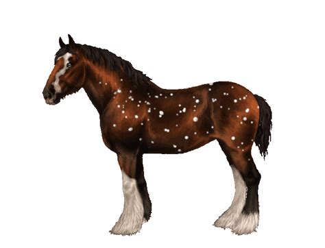 Clydesdale | Eqcetera 2 Wiki | Fandom