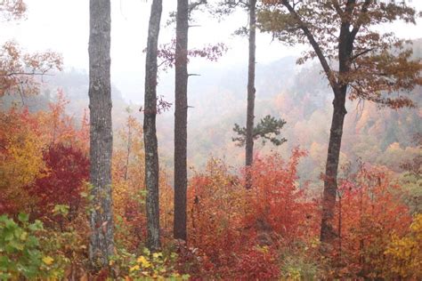 9 of the Best Red River Gorge Camping Desintations in Kentucky